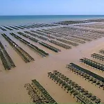Les Voiles, Maison Bien Equipee 10 P 2 Sdb, 2 Wc, Spacieuse Lumineuse Avec Jardin Clos, Garage, Terrasse, Parking Privatif, A 950 M De La D'asnelles Et Tous Commerces, Pres De Bayeux Et Arromanches, Chiens Bienvenus Holiday home Asnelles
