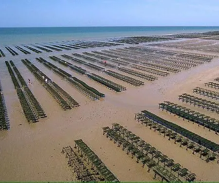 Les Voiles, Maison Bien Equipee 10 P 2 Sdb, 2 Wc, Spacieuse Lumineuse Avec Jardin Clos, Garage, Terrasse, Parking Privatif, A 950 M De La D'asnelles Et Tous Commerces, Pres De Bayeux Et Arromanches, Chiens Bienvenus Nyaraló Asnelles