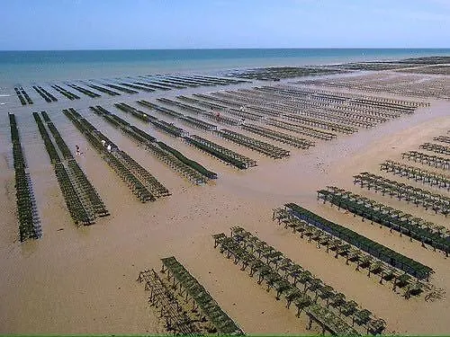 Les Voiles, Maison Bien Equipee 10 P 2 Sdb, 2 Wc, Spacieuse Lumineuse Avec Jardin Clos, Garage, Terrasse, Parking Privatif, A 950 M De La D'asnelles Et Tous Commerces, Pres De Bayeux Et Arromanches, Chiens Bienvenus Tatil Evi Asnelles